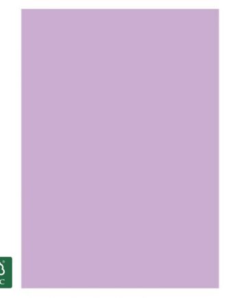 A4 Papir Lilla 170g  10 Ark