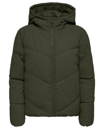Jdy Jakke Arnhem Life Water Rep Short Forest Night