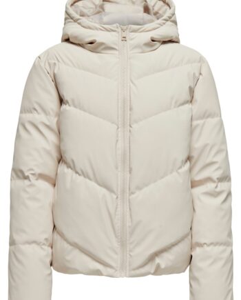 Jdy Jakke Arnhem Life Water Rep Short Moonbeam