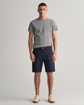 Allister Sunfaded Shorts