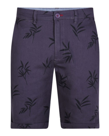 D555 Herre Shorts Chapman1 Plus Navy