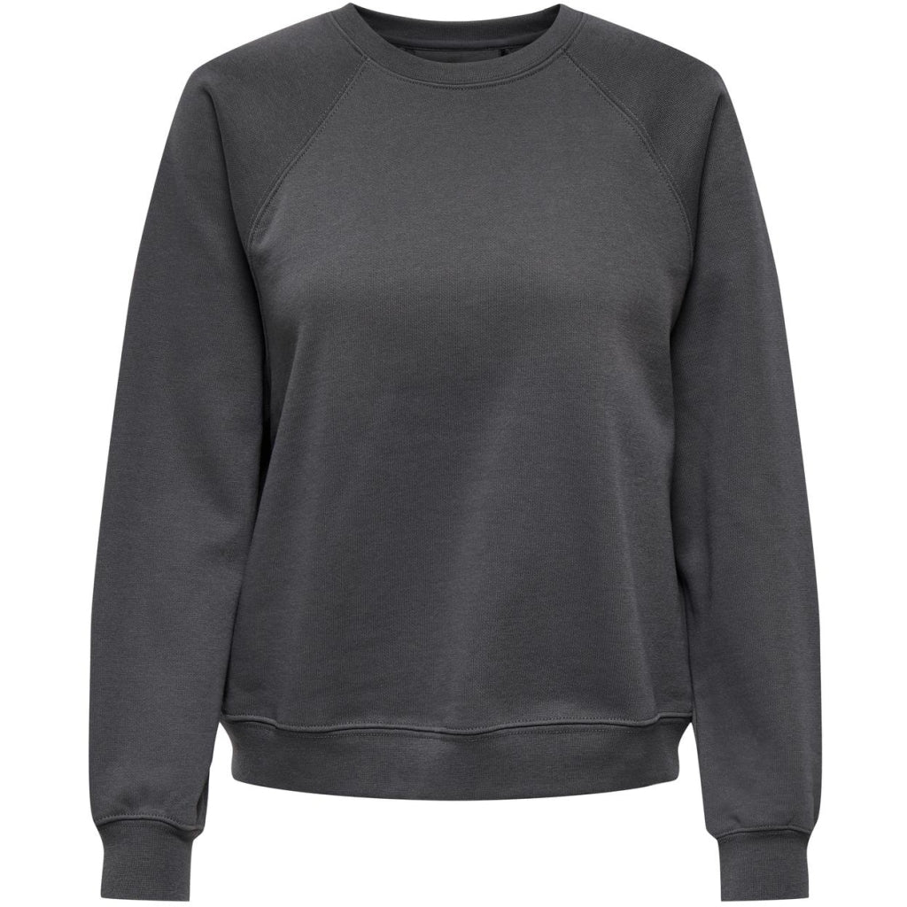 Only Dame Sweatshirt Onldaze Magnet