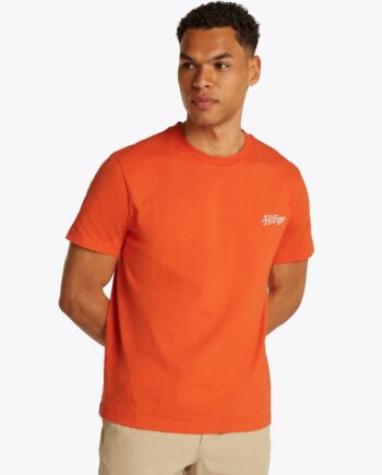 Hilfiger Summer Photo Tee