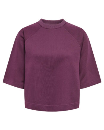 Only Bluse Dasie Raglan Mauve Wine