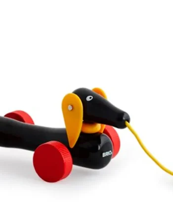 Dachsie  Hund  Pull Along