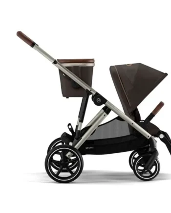 Gazelle   Taupe Chocolate Brown