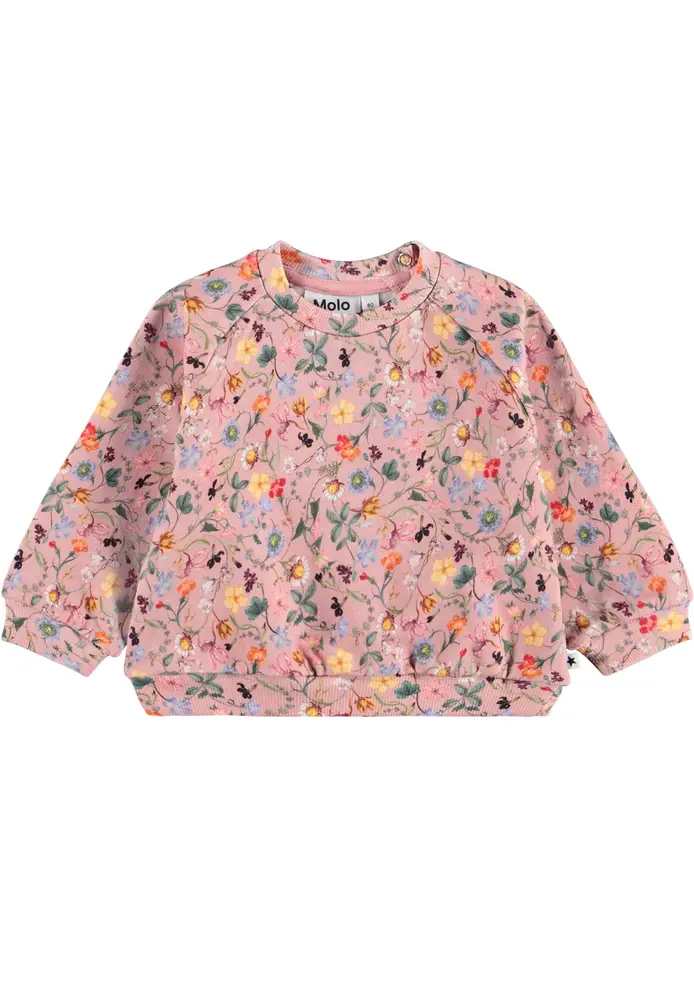 Molo Disc Sweatshirt Delicate Mini 62