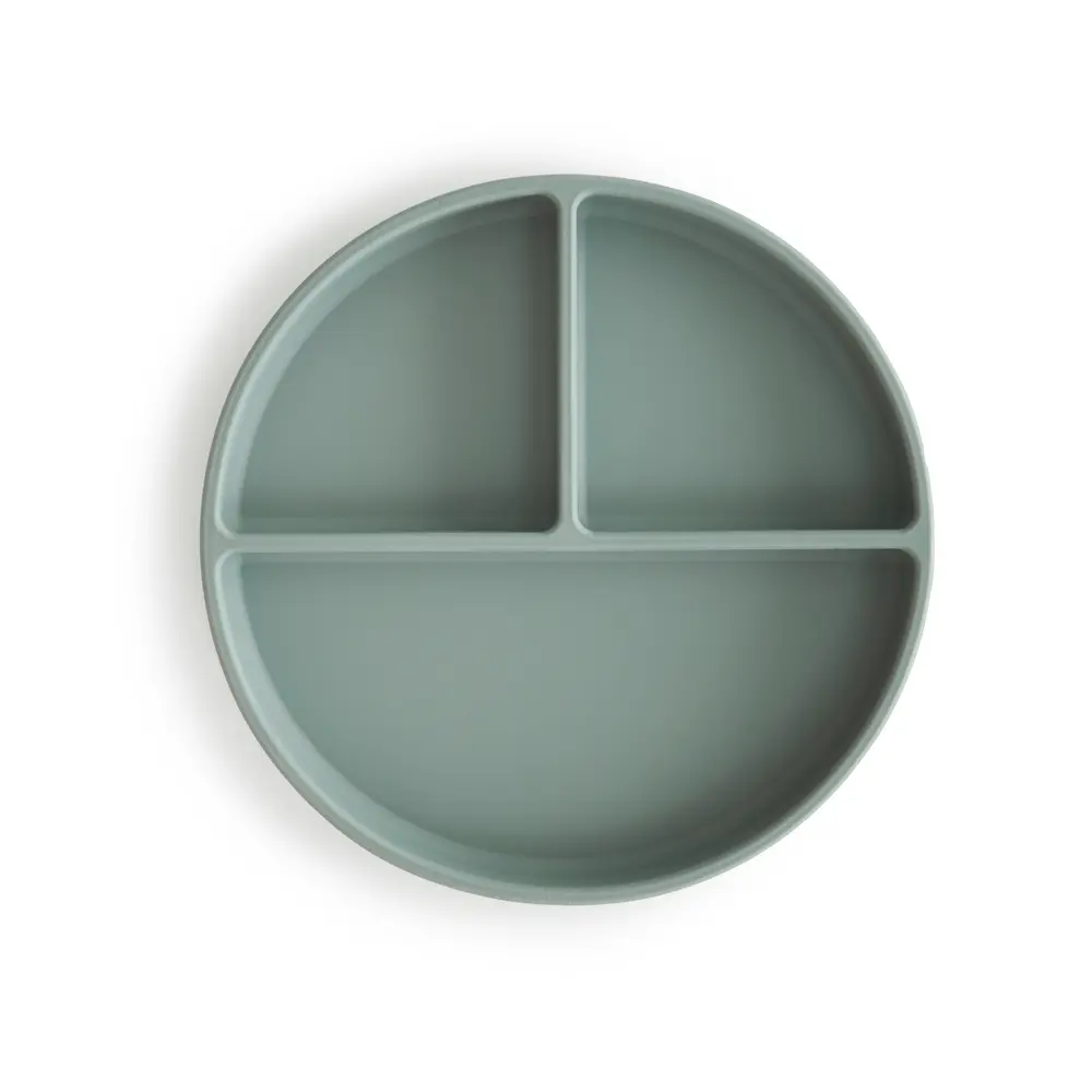 Silicone Plate  Cambridge Blue