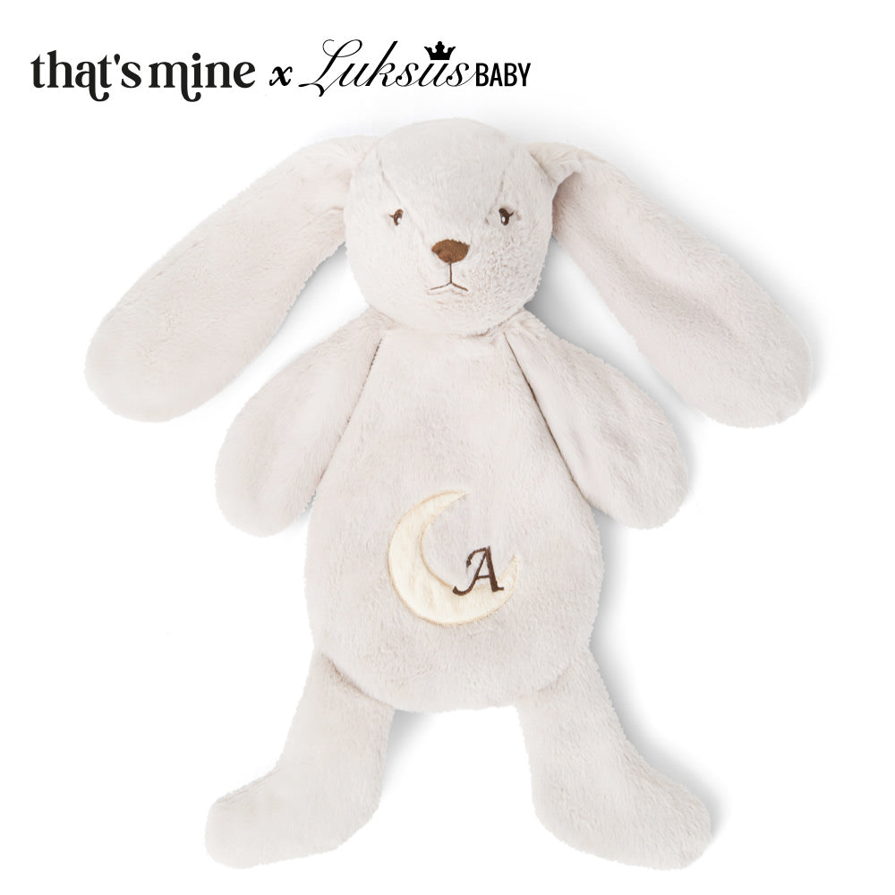 That Apos   Mine Texas Heavy Teddy Stor Bunny