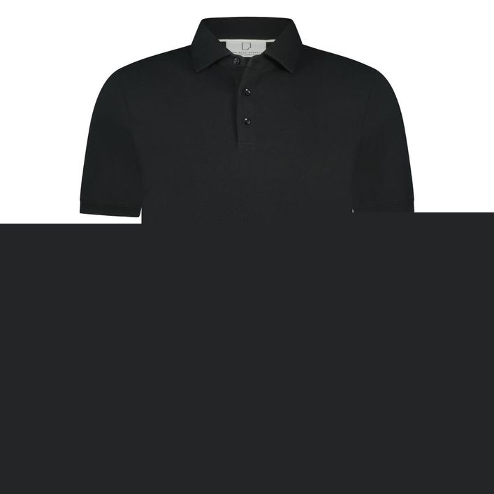 Arto Polo