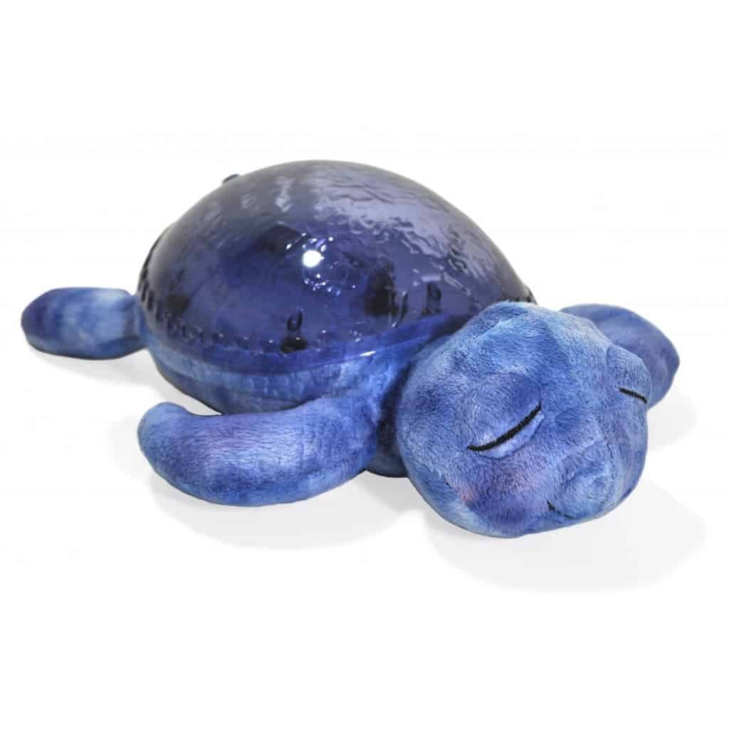 Cloud   Tranquil Turtle Ocean