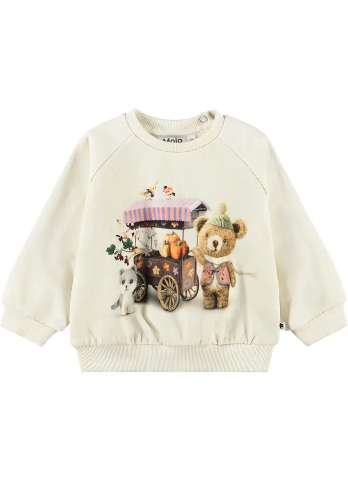 Molo Disc Sweatshirt Flower Market 104