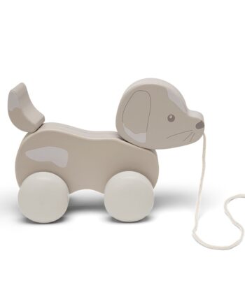 That Apos   Mine Tracy Trækdyr Dog
